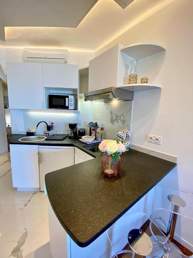 Apartment Le Rocamare -superb-atypical Sea View-a.c-wifi Nice