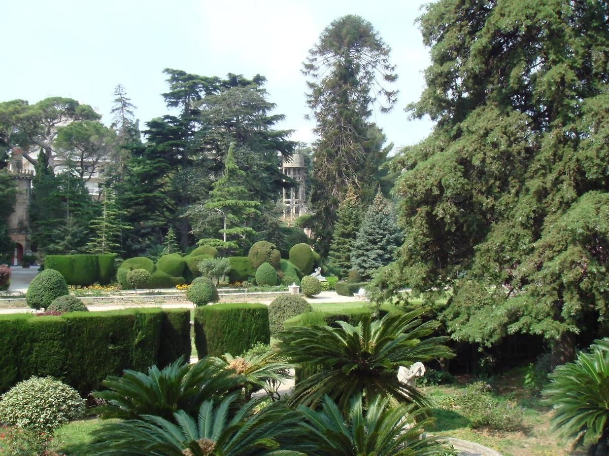 Les Grands Cedres C1 7 Avenue De Fabron * Nice