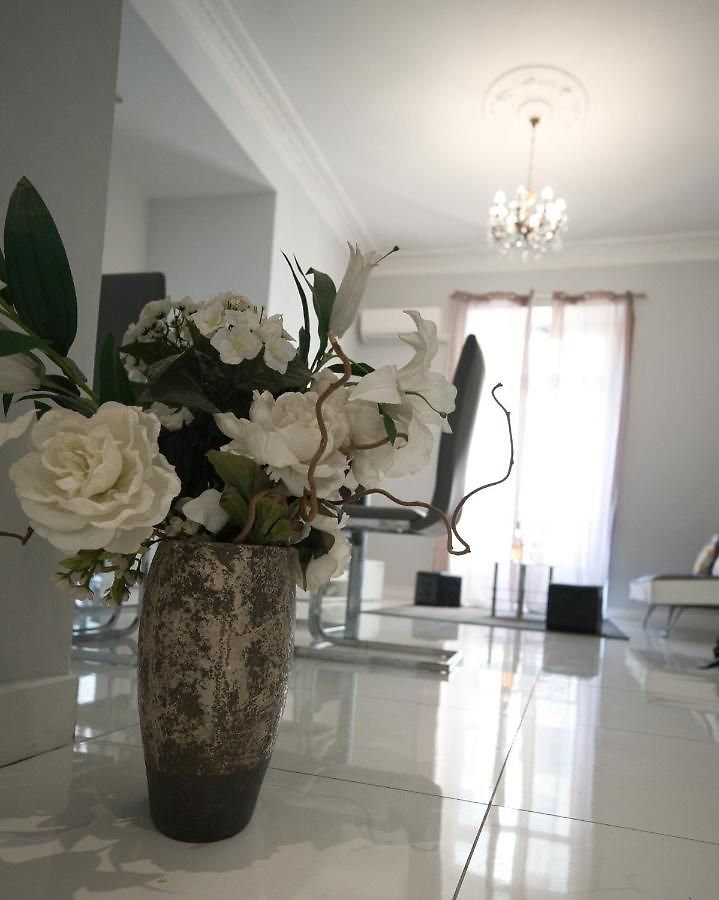 Designer Flat * Nice