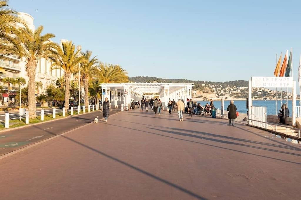 Promenade, 2pièces Chic Et Clim Avec Terrasse Location éligible Au Bail Mobilité Mobility Lease Appartement