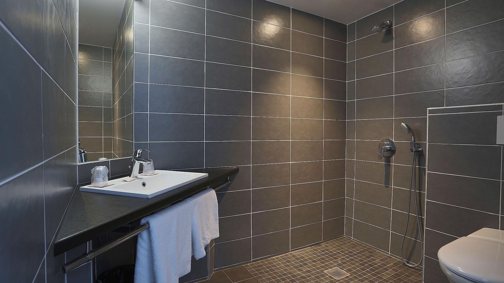 Annexe Nice