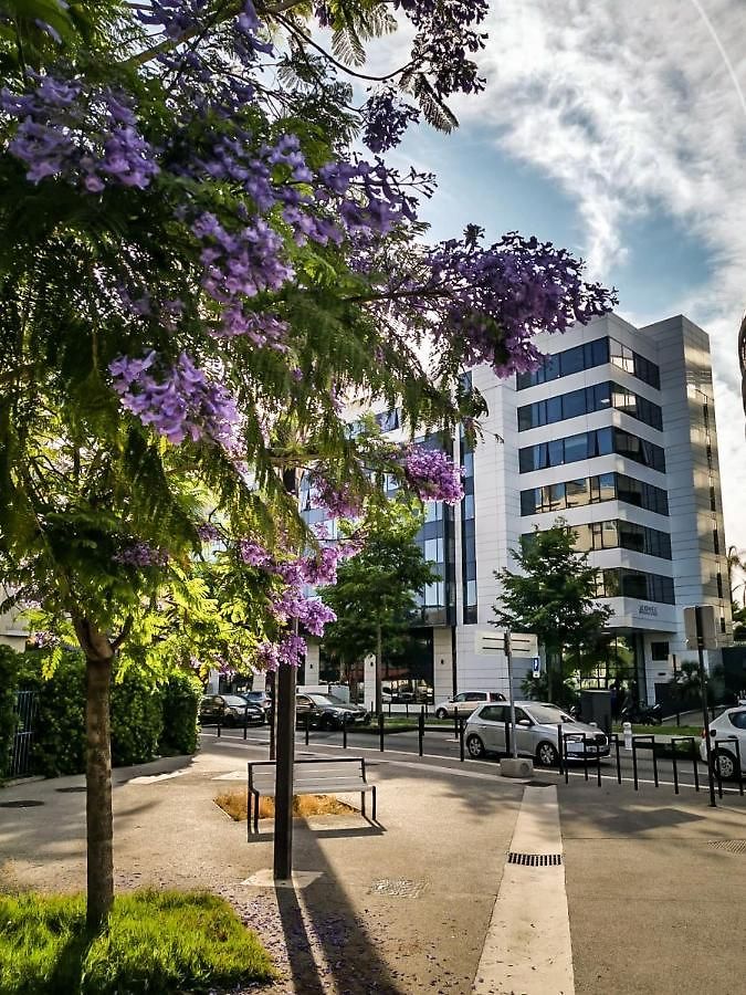 Appartement Magnifique Proche De La Nice