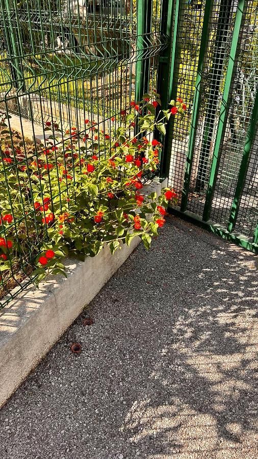 Le Val D'azur Appartement