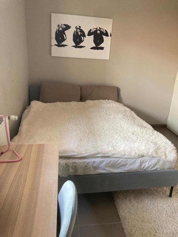The Cocoon Appartement *