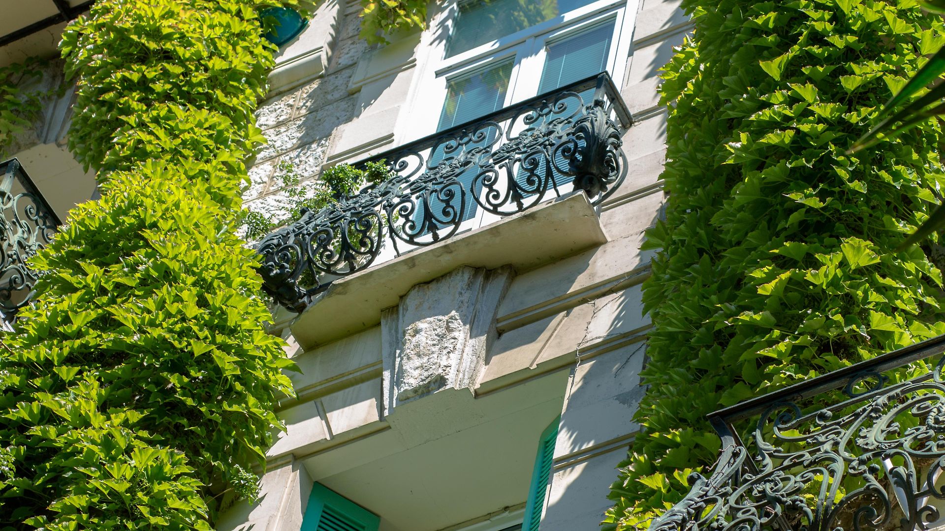 Le Windsor, Jungle Art Hotel 4*