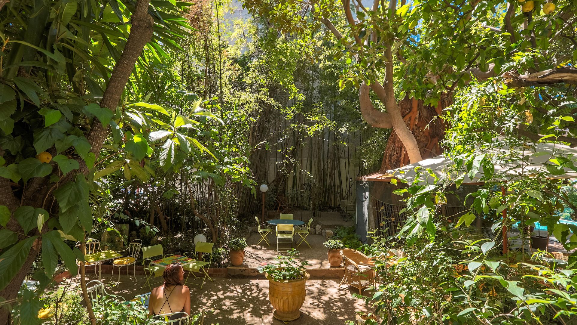 Le Windsor, Jungle Art 4*