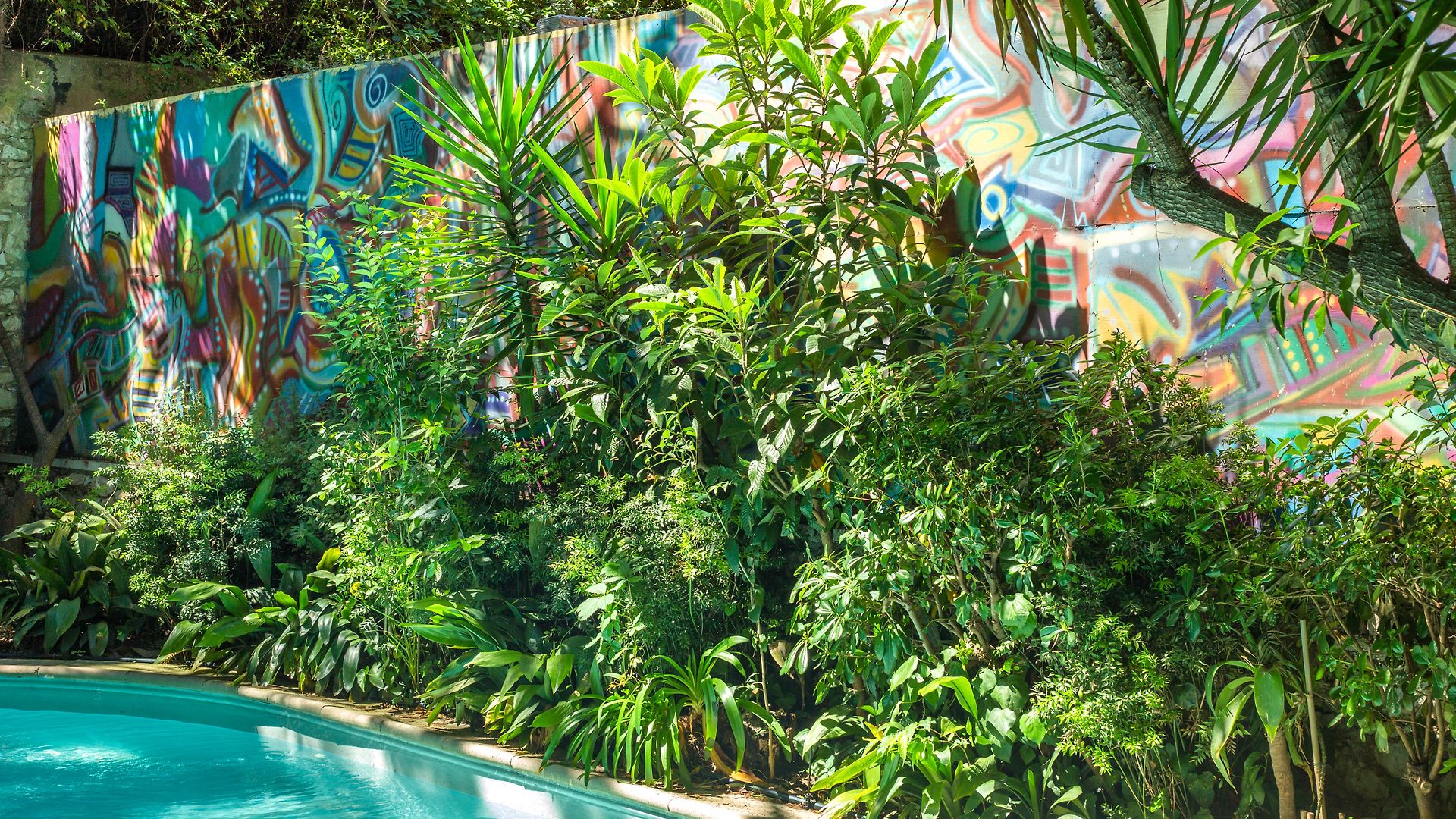 Le Windsor, Jungle Art Hotel