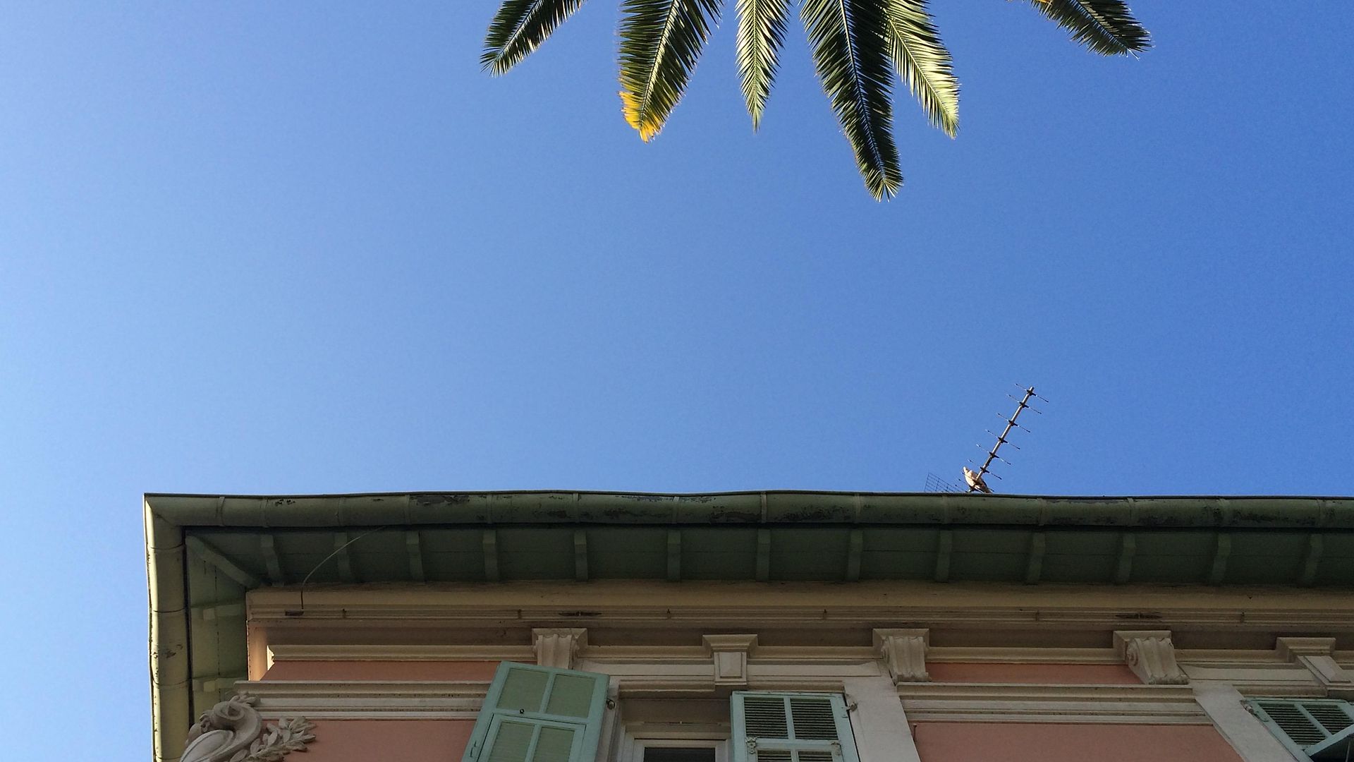 Hotel Rose