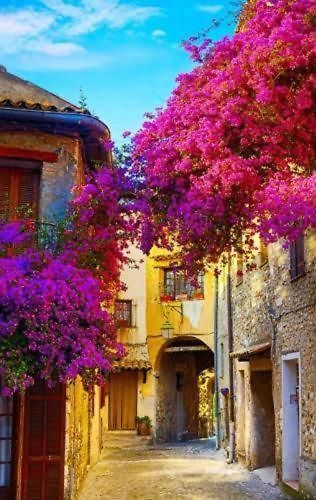 Bed & Breakfast And Comfortable Place In *