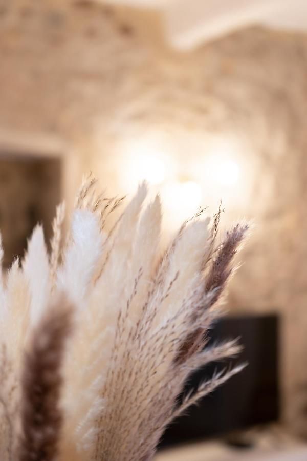 Old Town Renovated 2br Near Beaches & Cours Saleya Appartement
