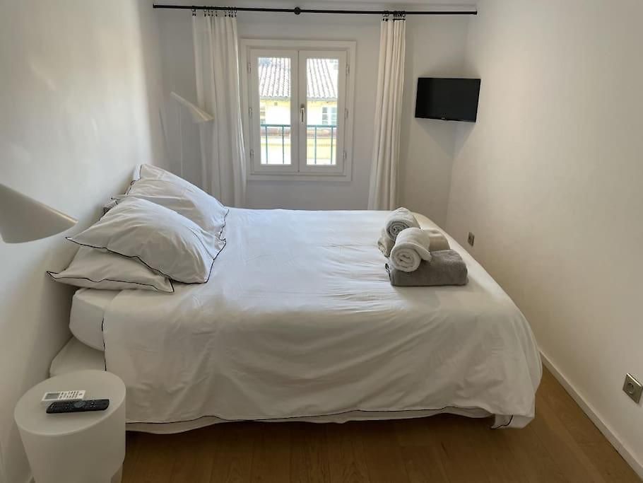 Homelivia, Lovely One Bedroom Flat Place Garibaldi Et Port * Nice