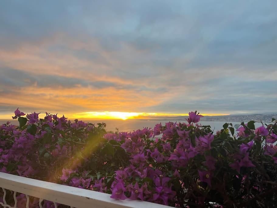 Villa Vue Imprenable Nice