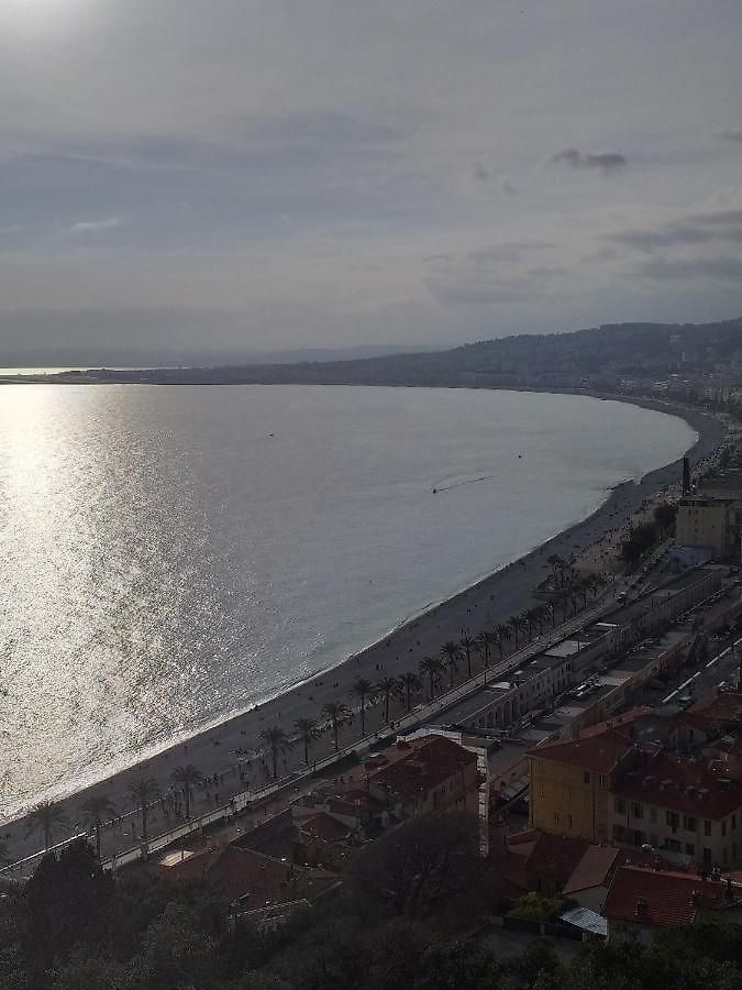 3 Pièces Vue Et Piscine Quartier Parc Impérial Appartement Nice
