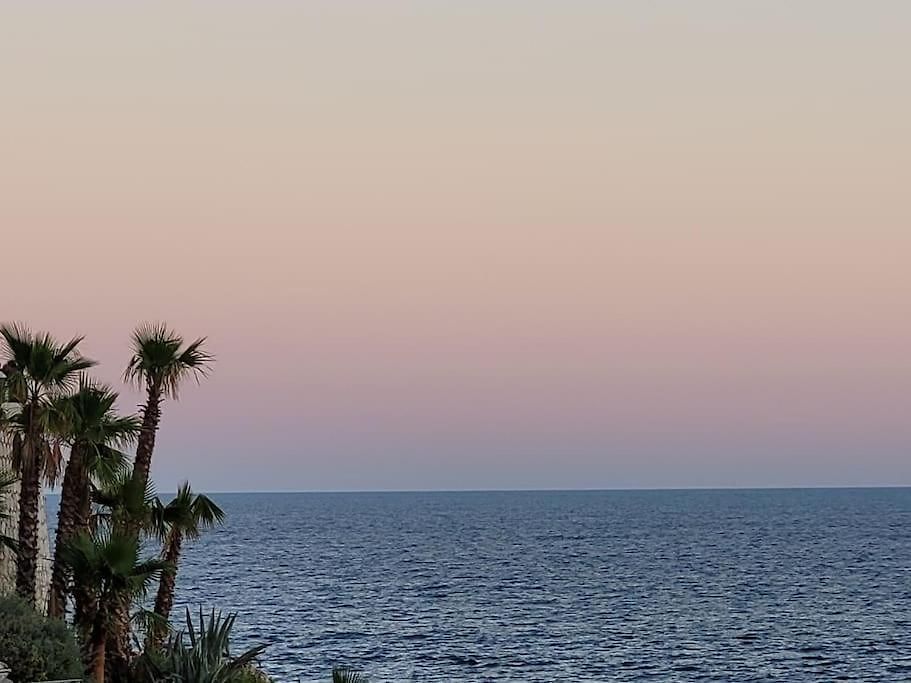 & Les Cypres * Nice
