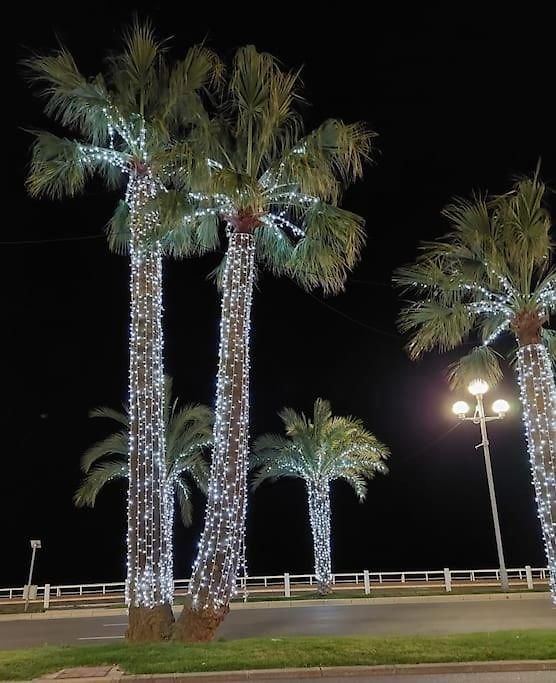 Apartment Promenade Des Vue Nice
