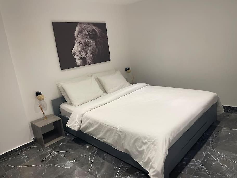 Proche Climatisé 2 Pièces Style Loft Nice