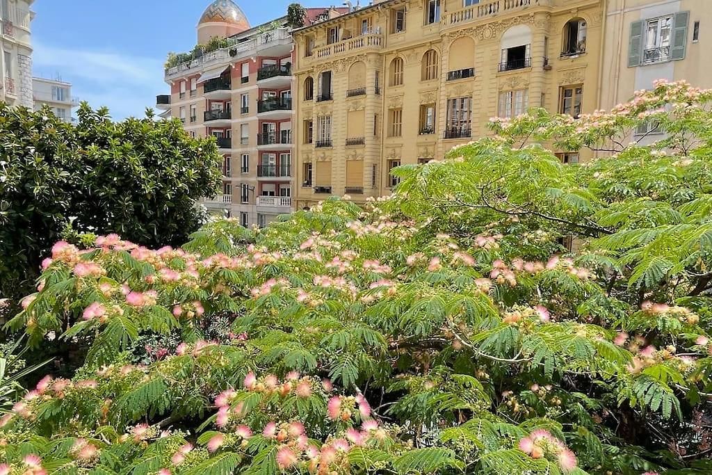 Apartment Elegant Appart' Pres Du Marche Liberation Nice