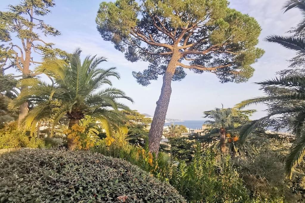 Centre Vue Avec Piscine Pour Famille, Couple D'amis Pas De Groupes De Jeunes Autorisés Appartement *