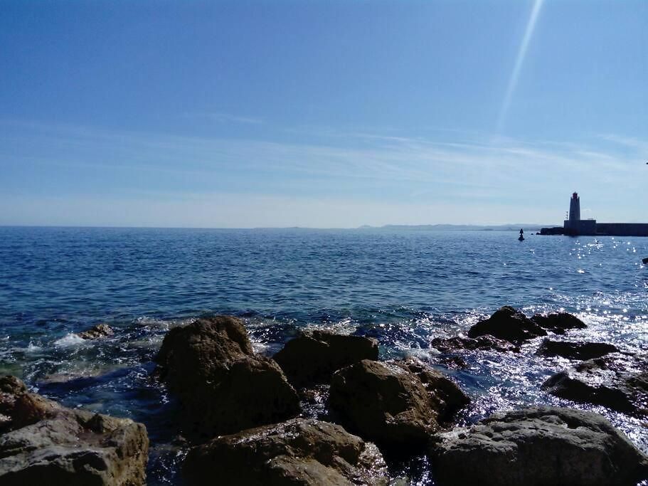 Avec Balcon à 7 Min Du Port Et De Garibaldi Appartement *