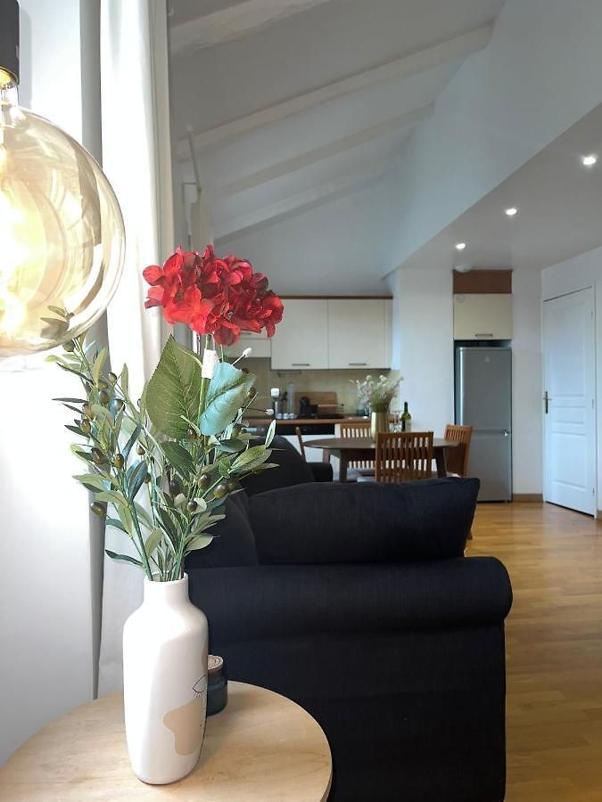 Appartement Le Michelangelo - Place Masséna