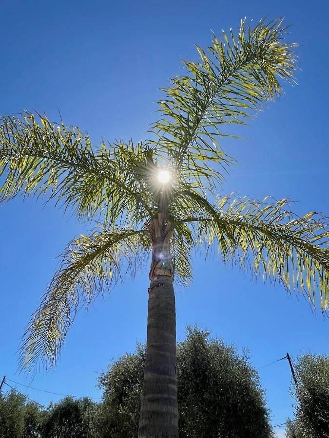 Villa Syagrus - Easy Nice