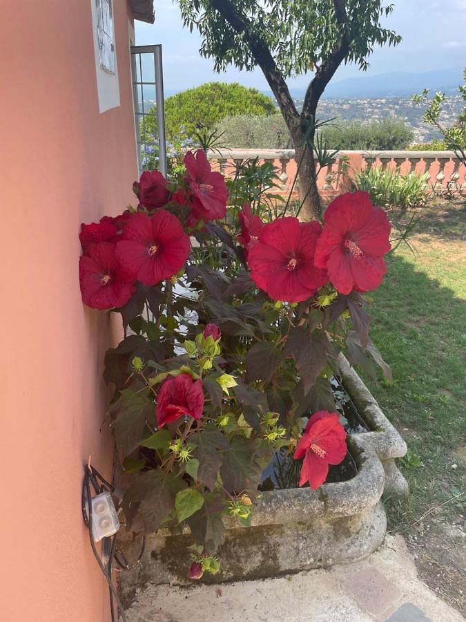D'hôtes Duplex Le Petit Mas Niçois De La Rose