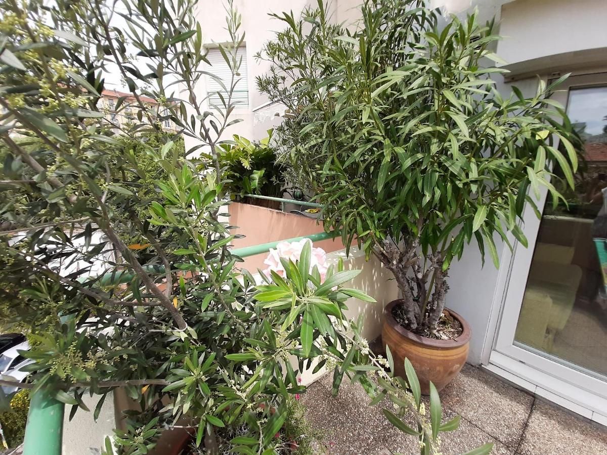 Appartement Joli