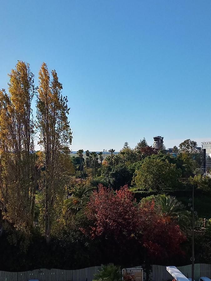 Séjour chez l'habitant Parc Phoenix *