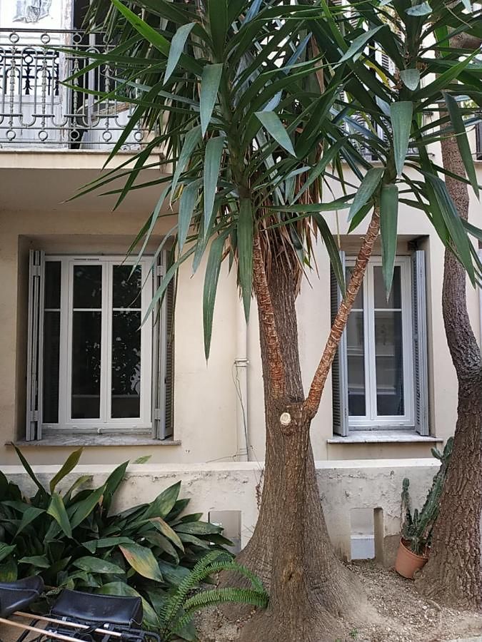 Appartement Palais Ophelia