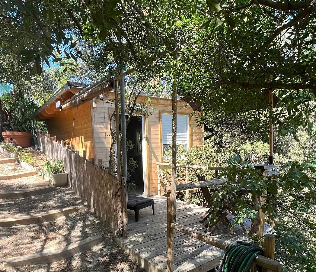 Chalet Dans Les Arbres *