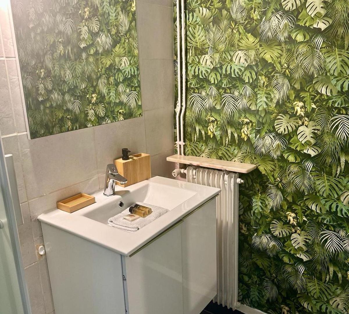 11 Trachel - T2 Spacieux A Proximite De Gare Thiers Appartement *