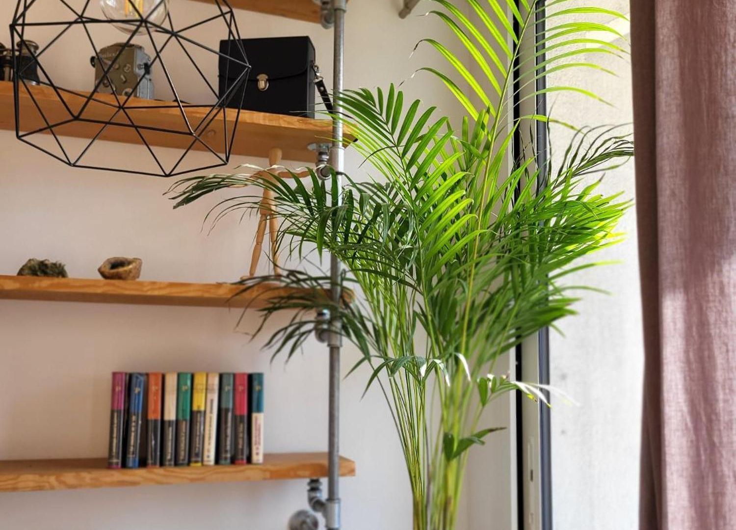 #thecosystudio06 Meyerbeer Promenade Negresco Appartement Nice