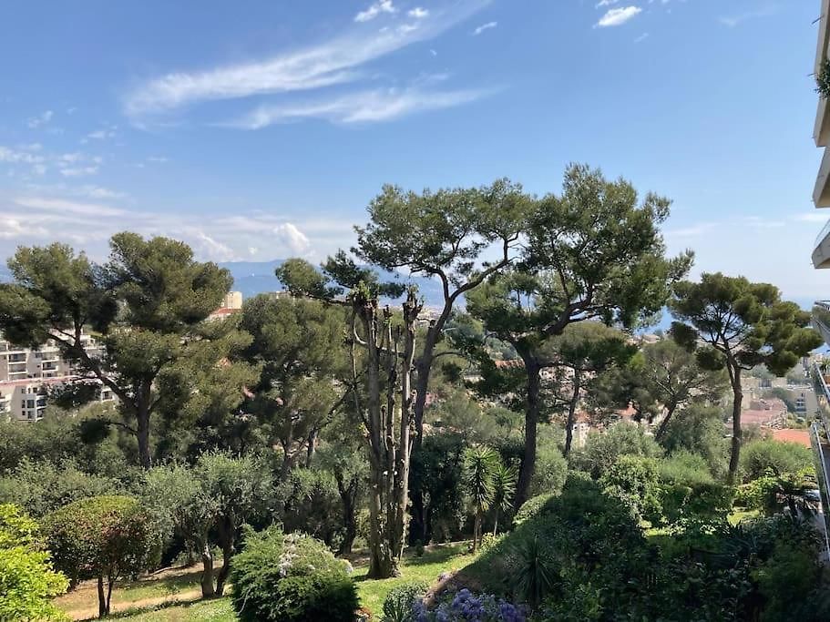 Appartement Sea View Pool Terrace Ac 1 Bedroom Nice