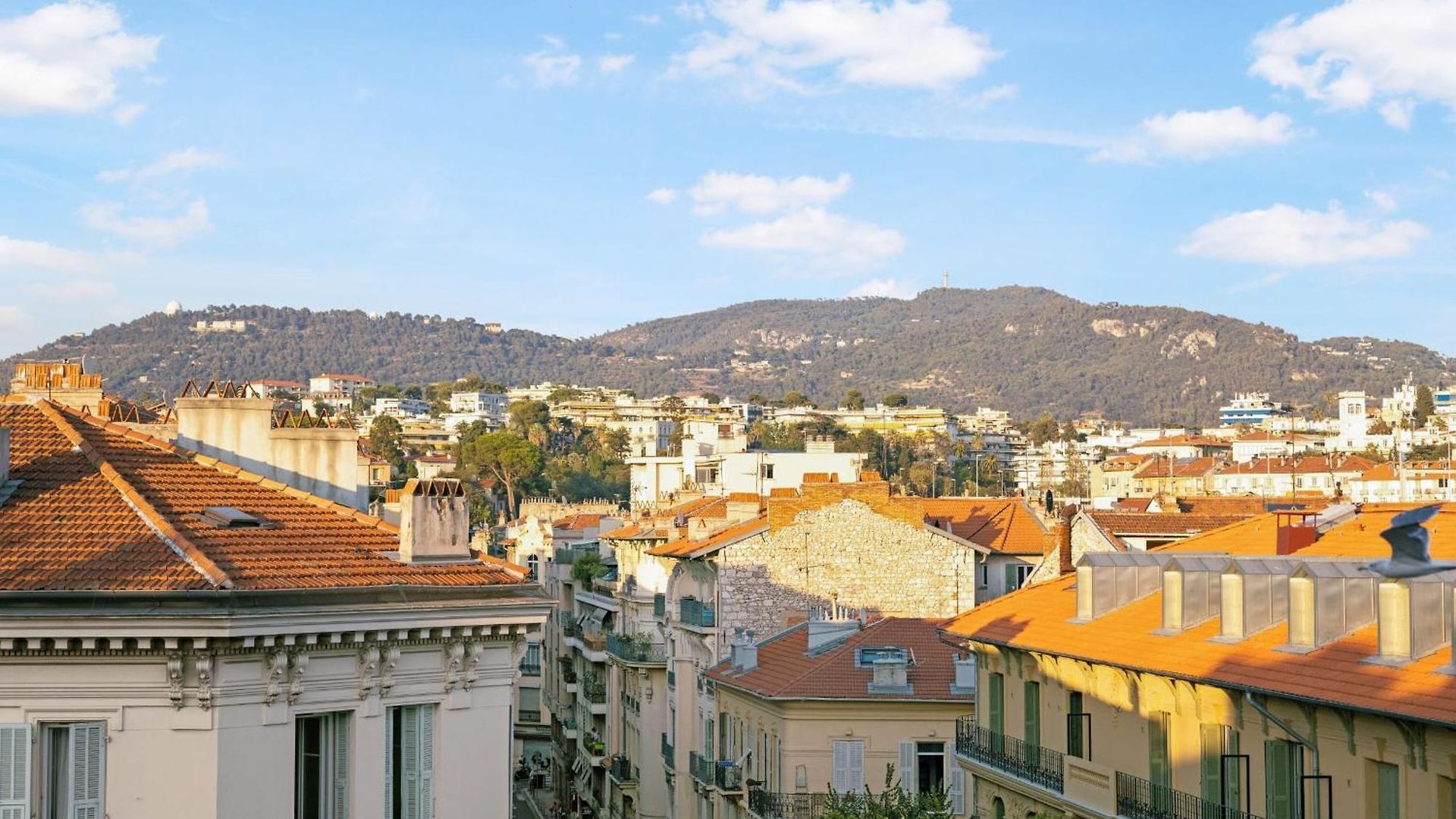 Loulib I Electio Appartement Nice