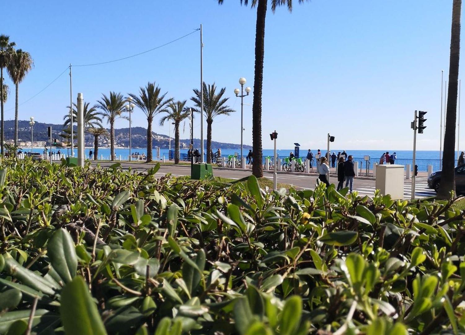 Garden Atlantide Promenade Appartement Nice