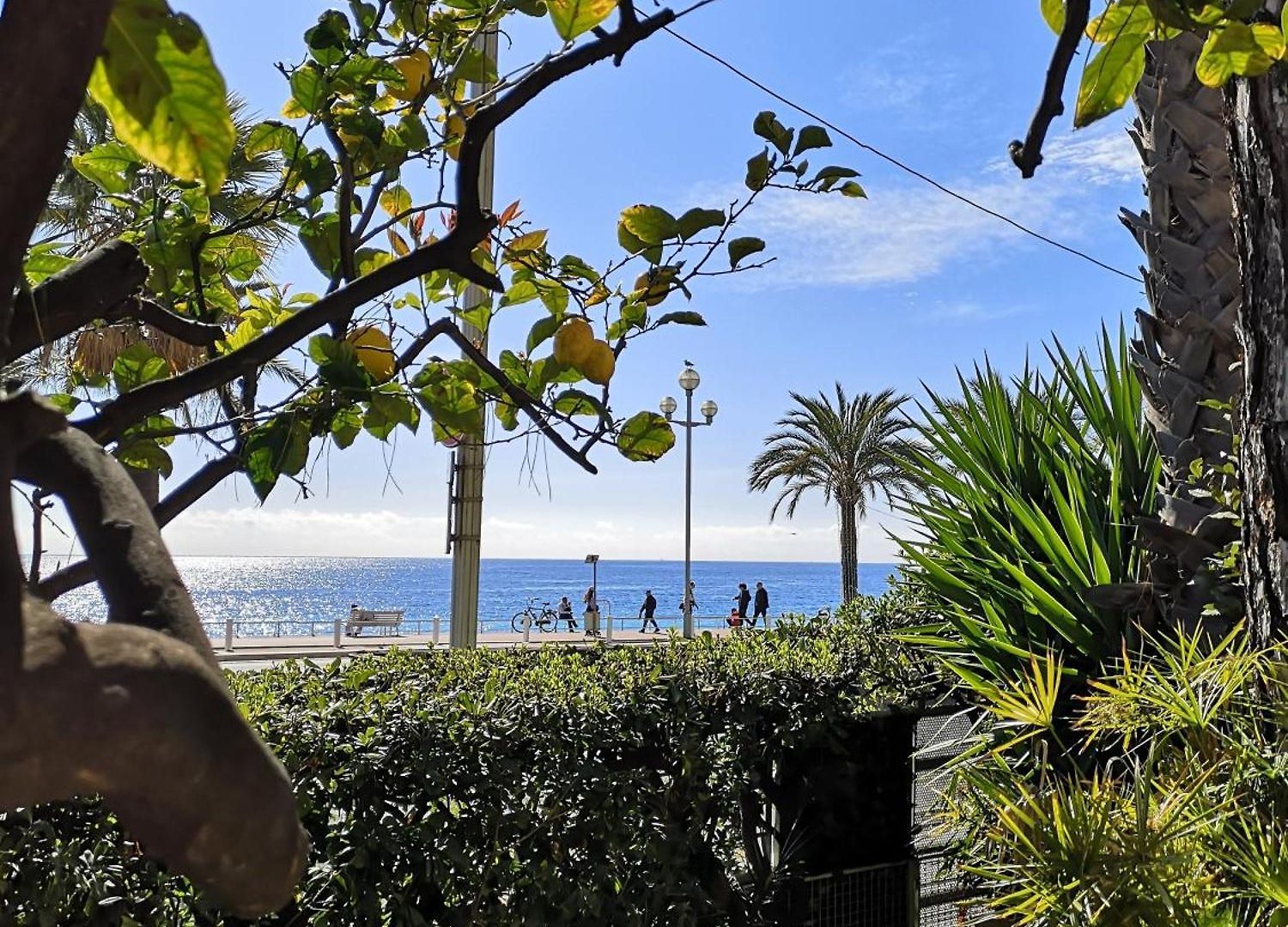 Garden Atlantide Promenade Nice