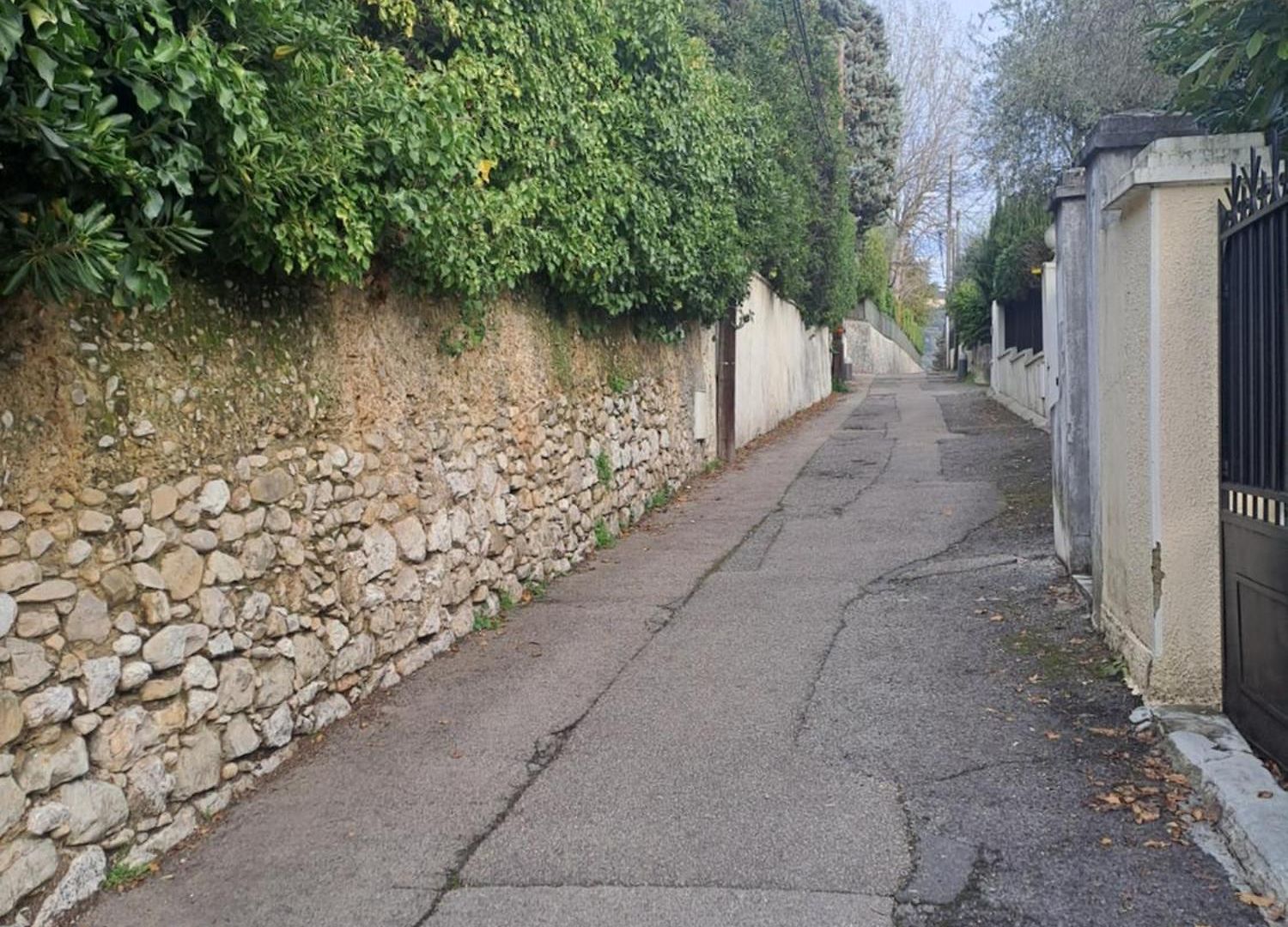 Homestay Maison Du Bonheur Calme Et Verdure Nice