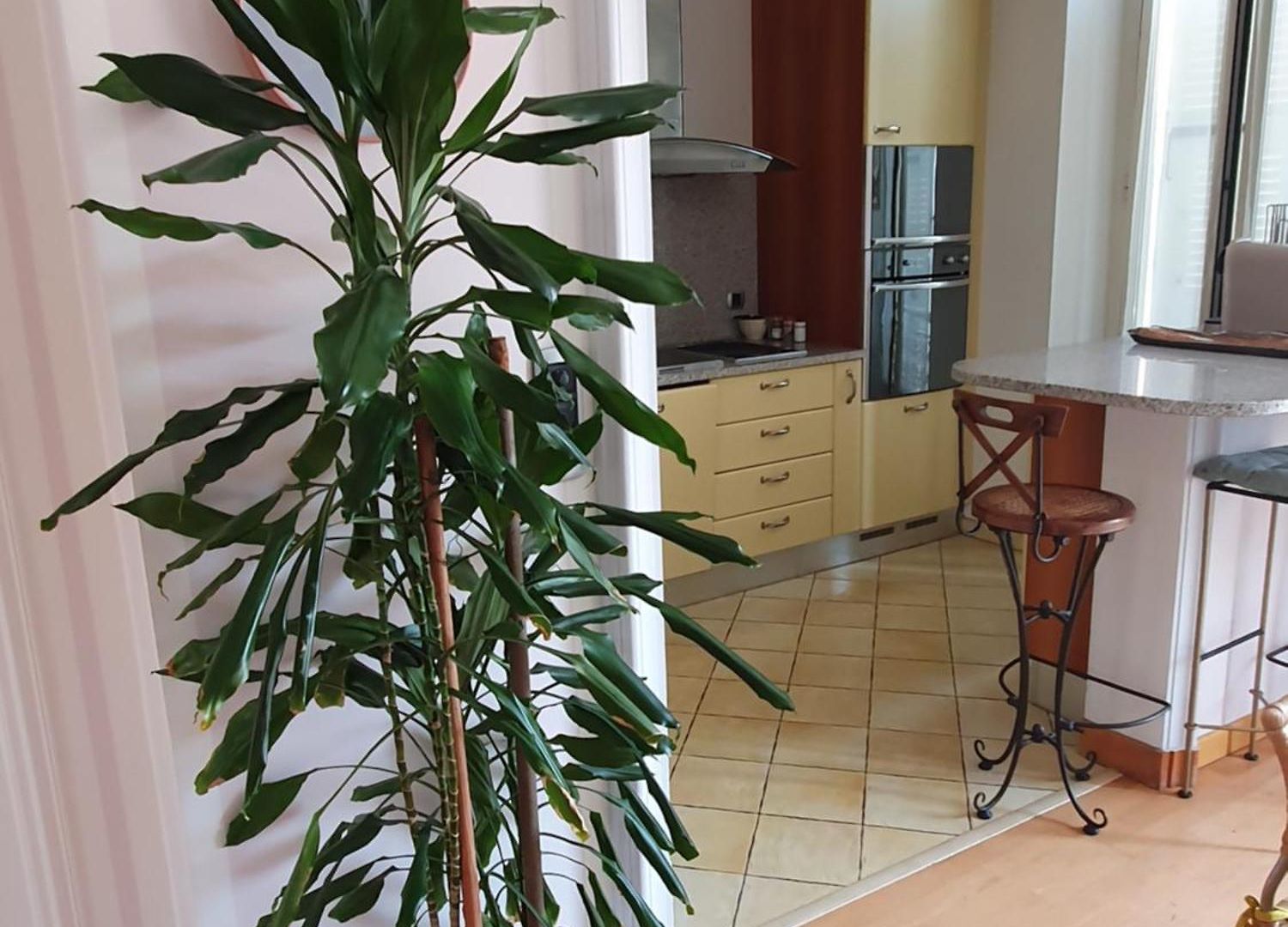 Apartment From 1882, Romantic Flat, In The Golden Square