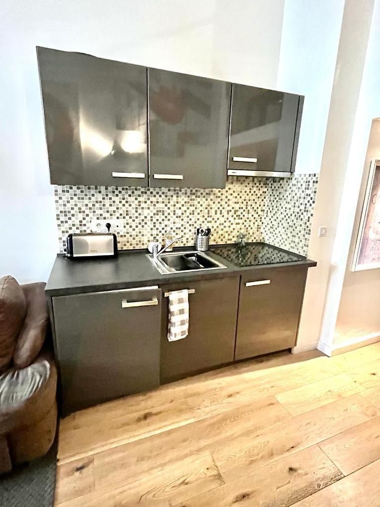 Appartement Duplex Patio Wilson Nice