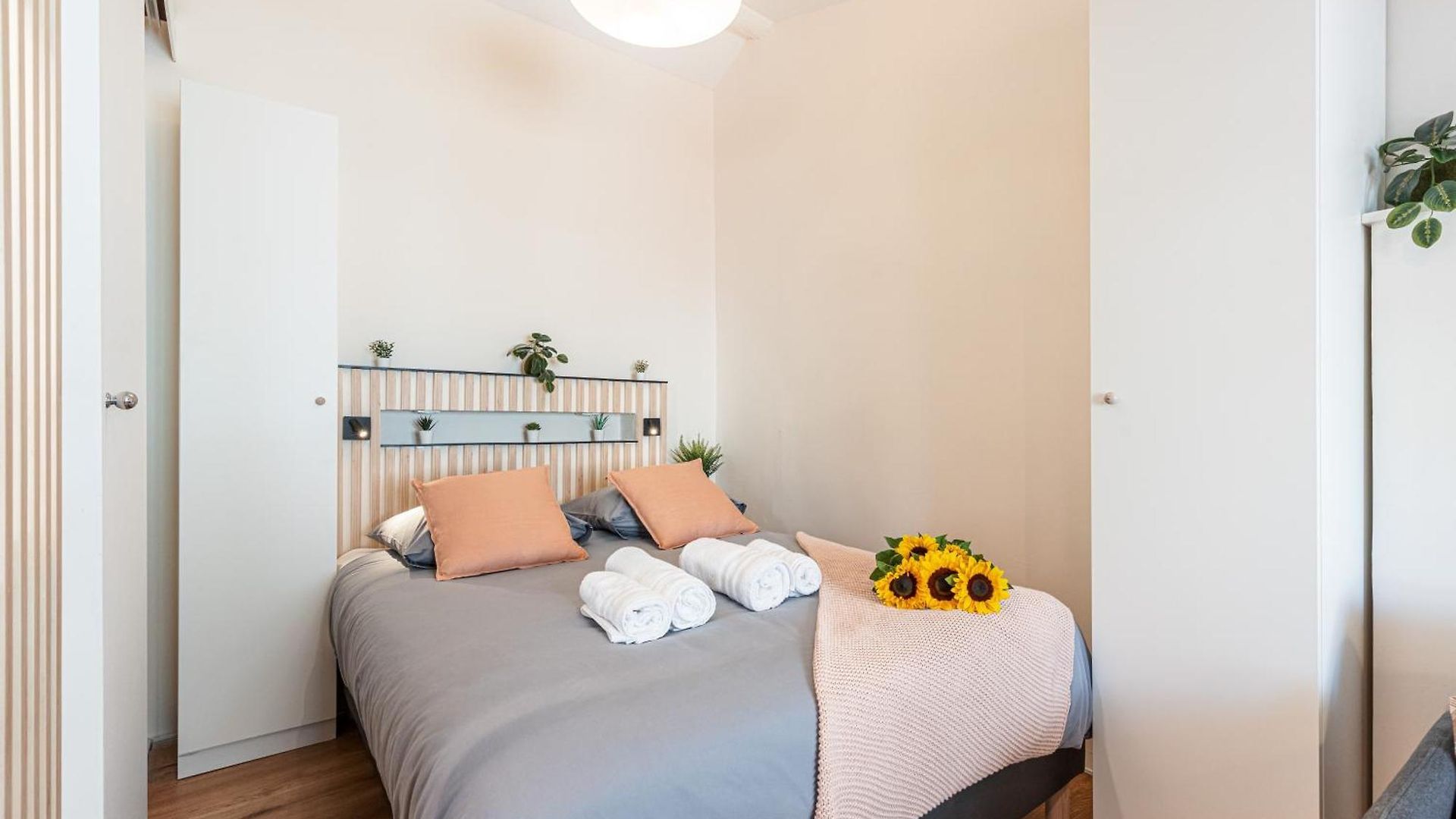 Appartement Feel - Collet