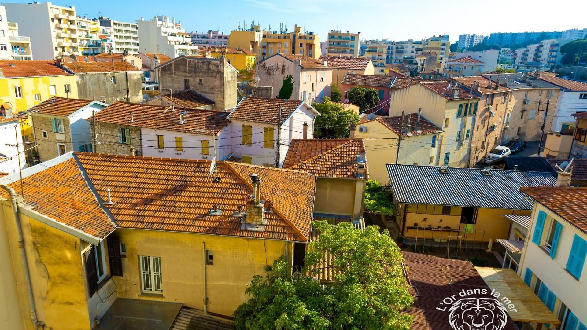L'or Dans La 3 *