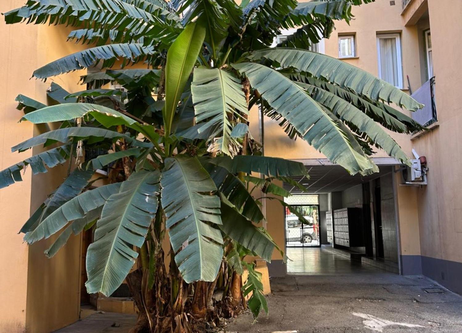 Mezzanine Sur Le Port Apartment