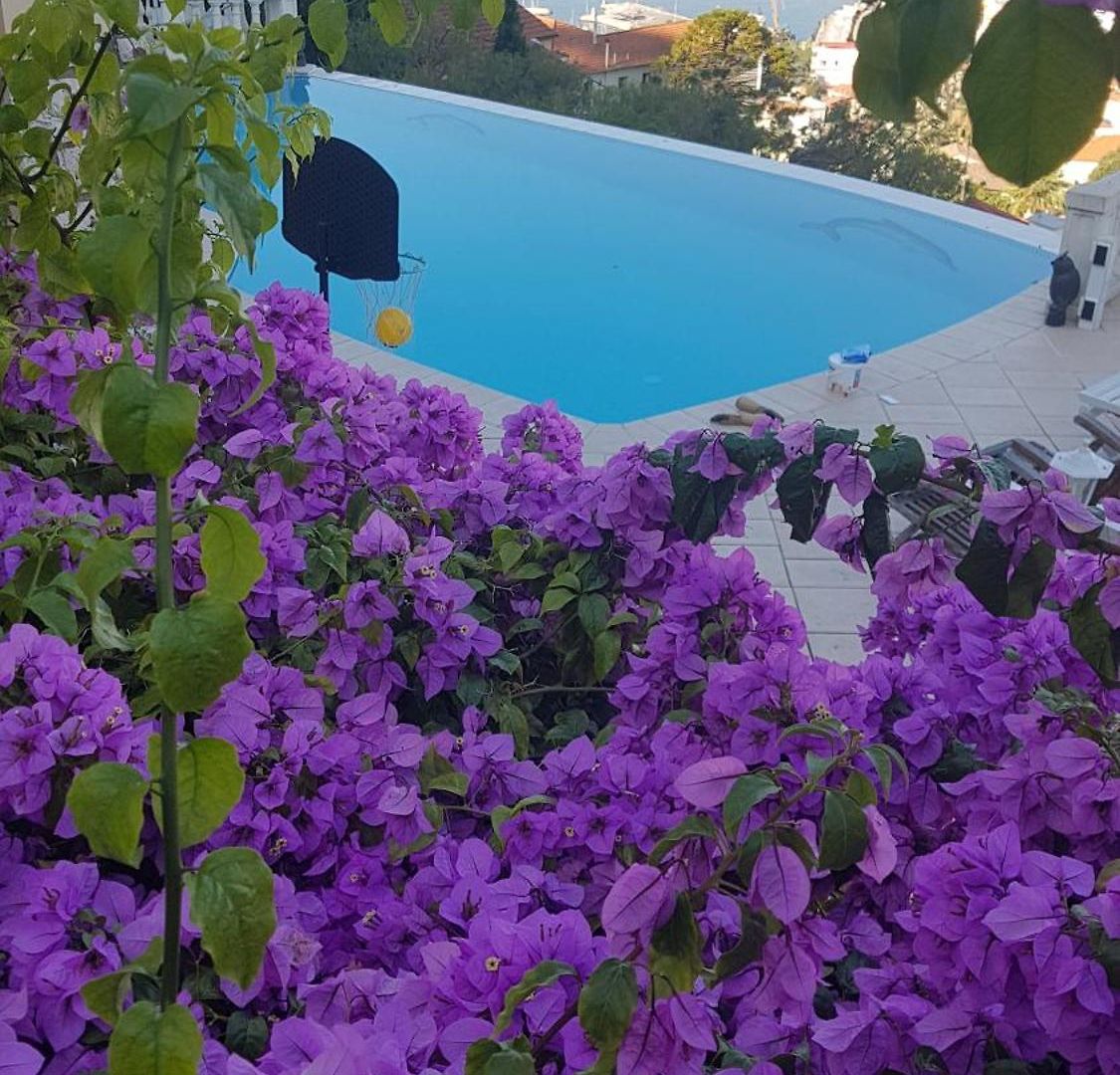 Villa Roc Maria Lucia Nice