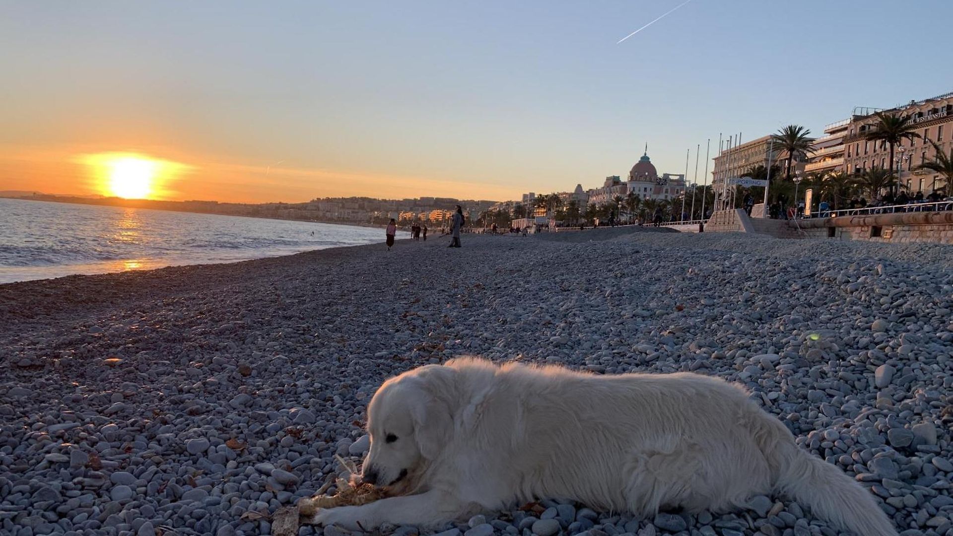 Riviera - Maison De La Poissonnerie - Vieille - Grand 3 Piece Ac - 5min De La Promenade Des Appartement 3*