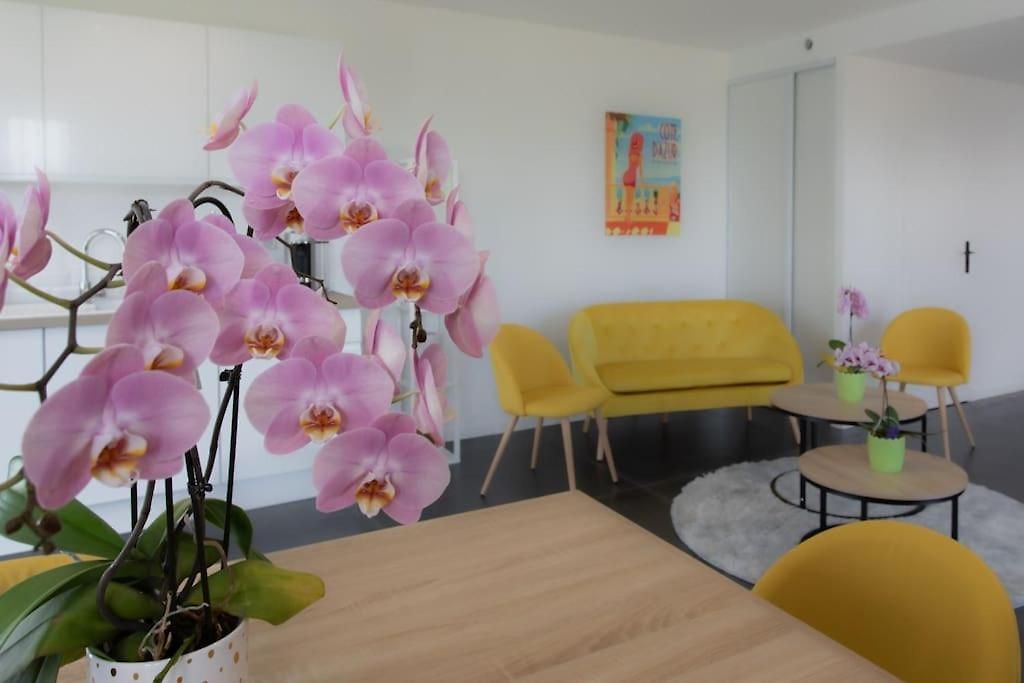 Appartement Echapée Belle - Vinayard View - Jacuzzi Bbq - Parking *