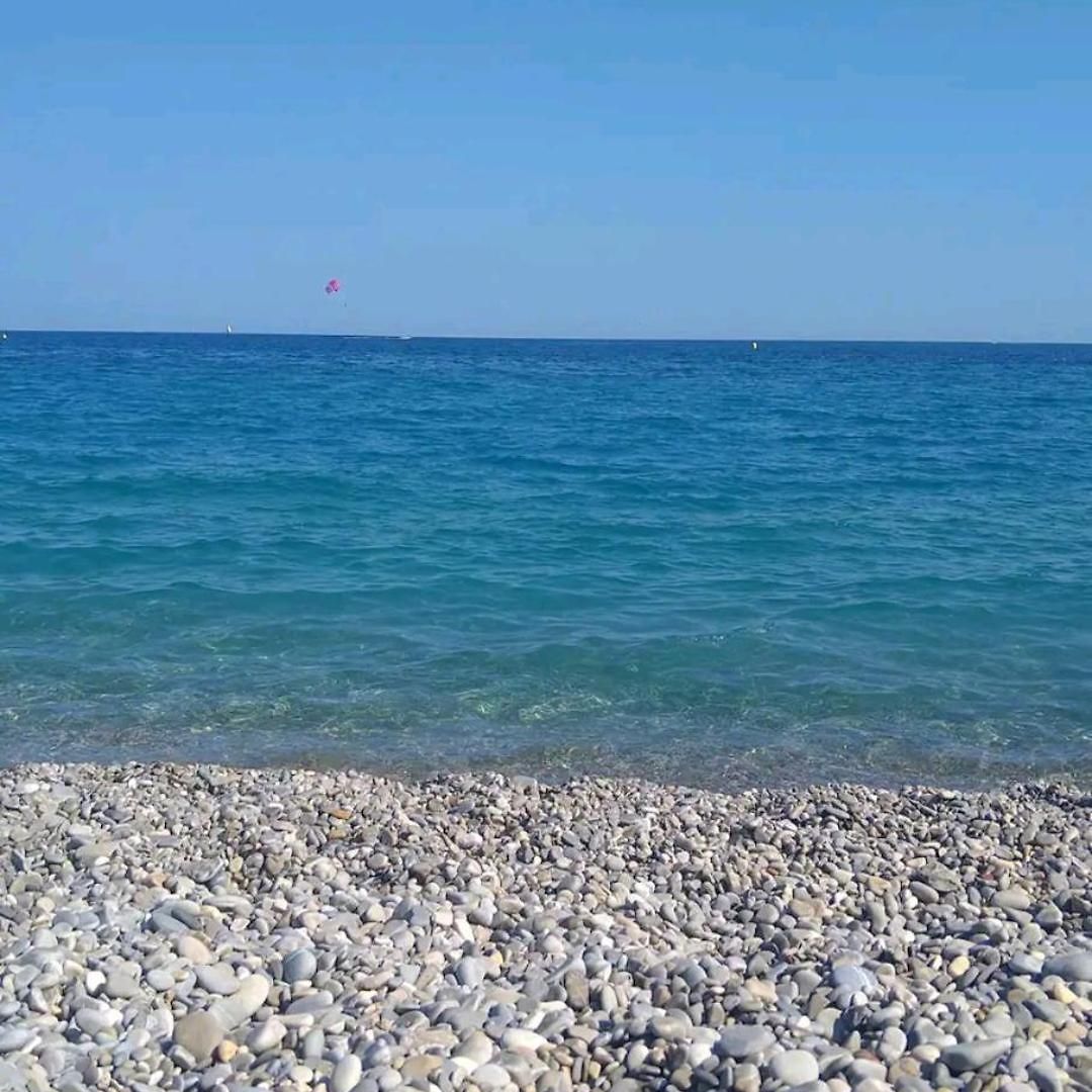 Entier - Les Baumettes * Nice