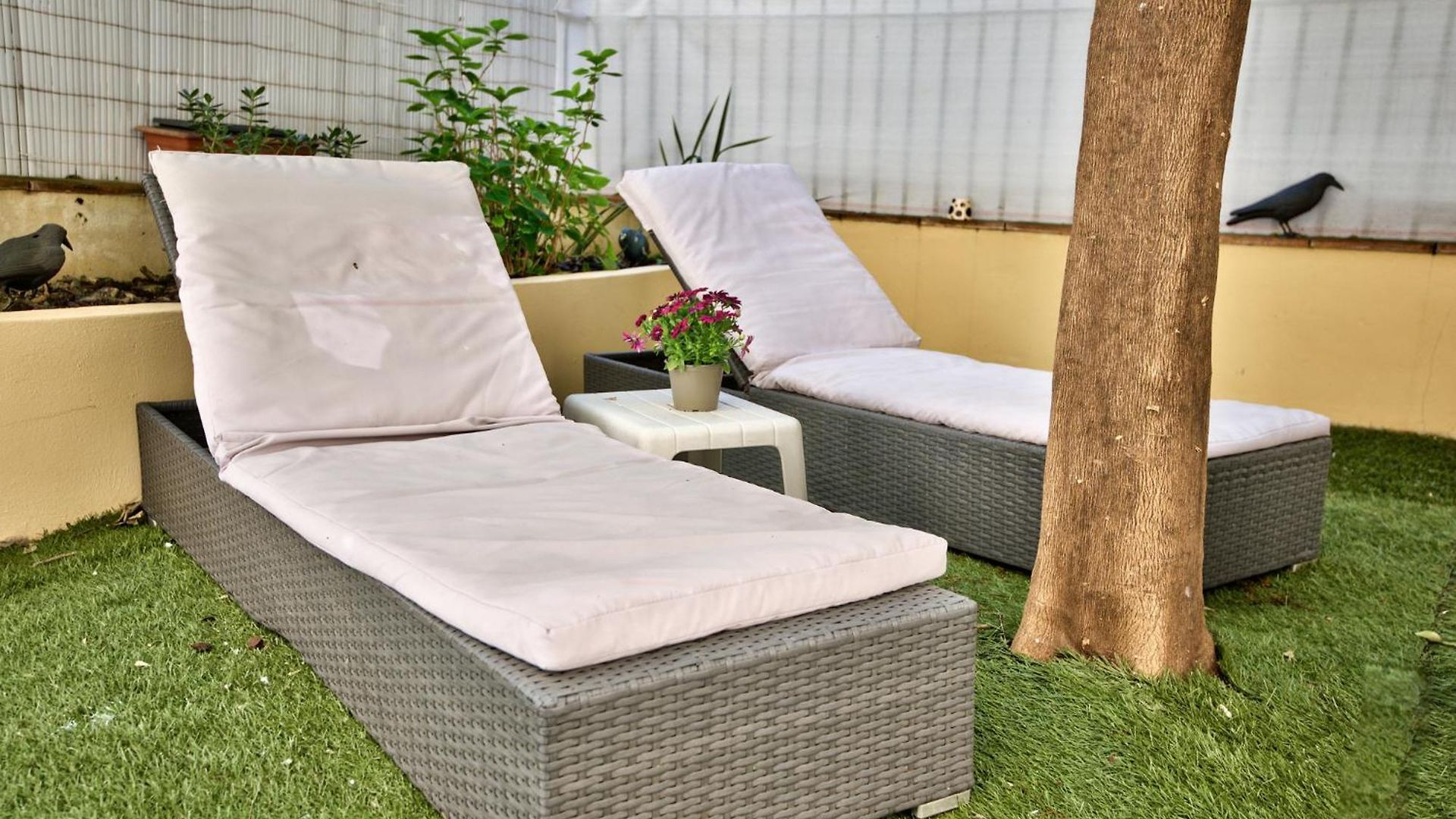 La Palais Osiris Centre Jardin Wifi Clim Parking *