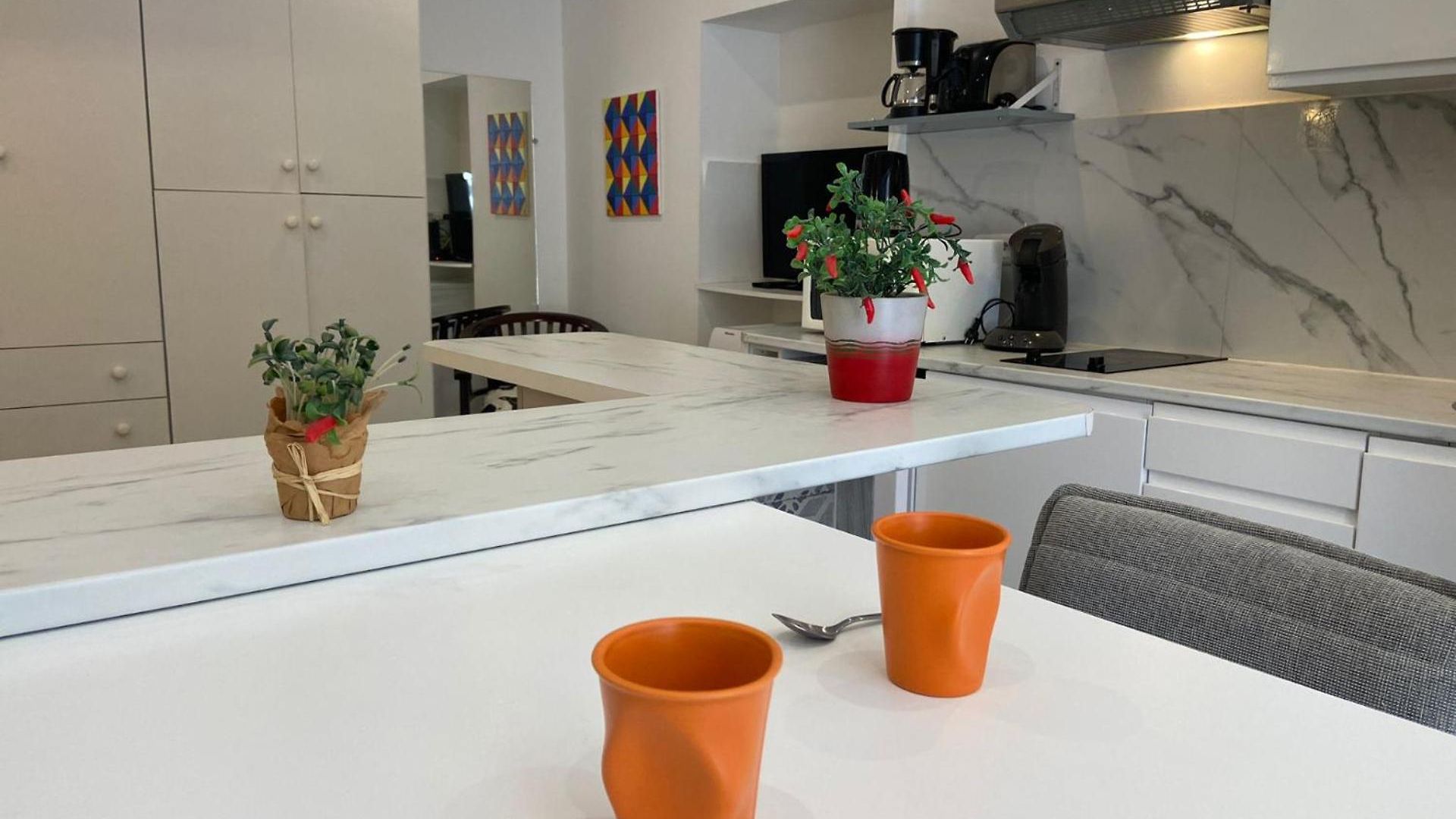 Pv1- Paul Valery Five Stars House Nice