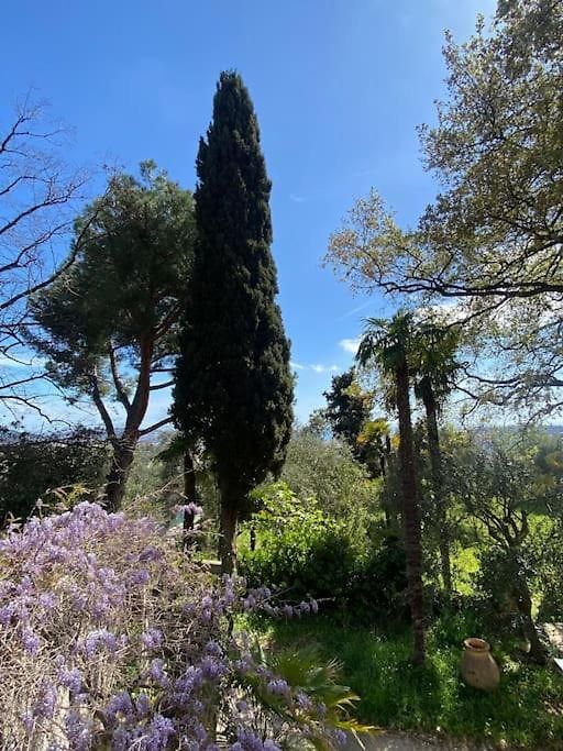 Hébergement de vacances Maison De Charme Dans Les Collines Niçoises Nice