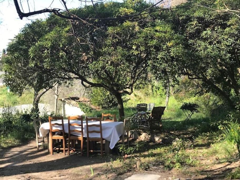 Maison De Charme Dans Les Collines Niçoises Hébergement de vacances